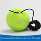 🎾Tennis Ball Training Baseboard