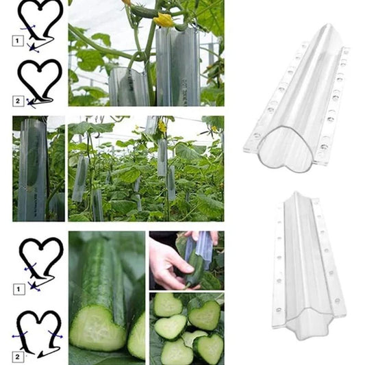 Cucumber Molds for Garden