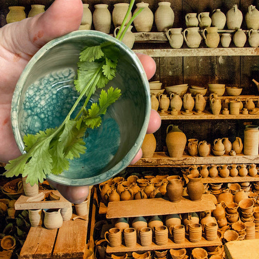 Beautifully Practical Decorative Pottery Herb Stripper