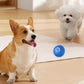 🔥Last Day Promotion 50% OFF🐶Automatic Smart Teasing Dog Ball – Bite-Resistant, Interactive Exercise Toy for Dogs