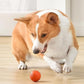 🔥Last Day Promotion 50% OFF🐶Automatic Smart Teasing Dog Ball – Bite-Resistant, Interactive Exercise Toy for Dogs