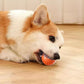🔥Last Day Promotion 50% OFF🐶Automatic Smart Teasing Dog Ball – Bite-Resistant, Interactive Exercise Toy for Dogs