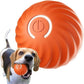 🔥Last Day Promotion 50% OFF🐶Automatic Smart Teasing Dog Ball – Bite-Resistant, Interactive Exercise Toy for Dogs