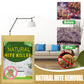 ⏳ LAST DAY SALE ONLY £9.99!! 🌿🛡️ The UK's #1 Natural Mite Control Sachet – Vetted by Allergy UK • 100% Chemical-Free • Safe for Babies, Pets & Asthma Sufferers 🇬🇧🛏️✨
