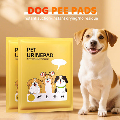 🎉 2026 Sale — Over 48,000 Sold! 🐾 Super Absorbent Dog Pee Pads – Leak-Proof, Quick-Dry & Perfect for Puppy Training, Senior Dogs & Travel 🐶✨