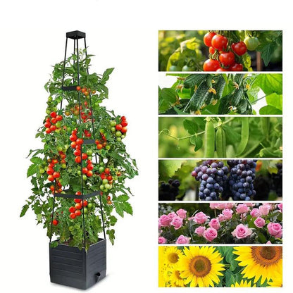 🌿Self-Watering Garden Planter For Indoor&Outdoor Use