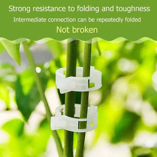 🔥Flash Sale  30% OFF🔥 Clips For Climbing Plants – Plastic tomato ties and plant fasteners