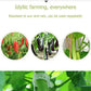 🔥Flash Sale  30% OFF🔥 Clips For Climbing Plants – Plastic tomato ties and plant fasteners