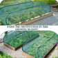 🌱 50% OFF NOW! ✨ Foldable Pop-Up Plant Mesh Cover – Protects Plants, Breathable Design & Easy Setup 🌿