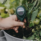 📢📢50% OFF !! ⏰Plant Soil Moisture Tester- Professional Water Monitor For Indoor & Outdoor Gardening🌱💦