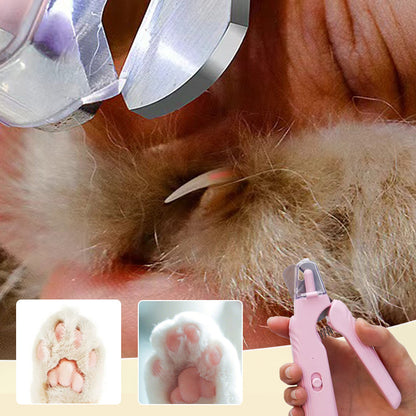 🐾 50% OFF! ✨ 2-in-1 LED Pet Nail Clipper & Grinder – Stainless Blade, Anti-Splash Guard & Quiet Motor for Dogs & Cats 🐶