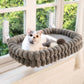 🐱50% OFF💥Foldable Suction Cat Window Hammock ☁️