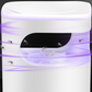 💥Summer Hot Sale 50% OFF🔇🦟UV Fly Trap with Transparent Catch Box