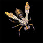 🐝 Build Your Own Metallic Bee – Precision 3D Puzzle for Mindful Relaxation & Desk Display. 50% Off. UK Stock