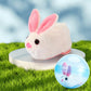 🐹 Electric Plush Hamster Rolling Ball Toy – Crafted from child-safe, soft plush materials with no sharp edges. Built to withstand bumps & tumbles, and easy to wipe clean after messy play 🧼