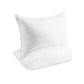🏨 Hotel Comfort Bed Pillows – Designed to replicate the plush, supportive feel of luxury hotel bedding. Premium hollowfibre filling, medium-firm support & a breathable cotton cover for a cool, comfortable sleep 🌙