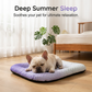 ❄️ Cooling Gel Mat for Pets | Self-Cooling, Pressure-Activated & Perfect for Dogs & Cats on Hot Summer Days 🐾