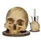 Creative Skull Resin Knife Holder 💀 A Bold Statement Piece That Keeps Your Blades Within Reach ✨