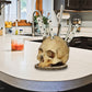 Creative Skull Resin Knife Holder 💀 A Bold Statement Piece That Keeps Your Blades Within Reach ✨