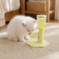 💧 Fresh Flowing Water All Day – Adjustable Height Cat Fountain with Whisper-Quiet Pump. Free UK Delivery
