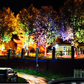 🌳 Turn Your Garden Into a Nighttime Feature – Ring-Shaped Solar Tree Lights. Weatherproof & Energy-Free. Free UK Delivery