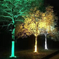 🌳 Turn Your Garden Into a Nighttime Feature – Ring-Shaped Solar Tree Lights. Weatherproof & Energy-Free. Free UK Delivery