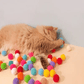 🐱 50% OFF! ✨ Plush Ball Shooting Gun for Cats – Easy Load & Shoot, High-Elastic Yarn Balls, Interactive Cat Play Toy 🎯