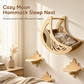 ⏳Limited-Time 50% OFF🐱Wall Mounted Wooden Cat Climbing Set, Solid Wood Cat Perch With 3 Jumping Steps, Moon Hammock & Sisal Mat✨