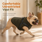 ✨Warm Winter Dog Coat, Built-In Harness Jacket With Reflective Strips For Small & Medium Dogs🐶❄️