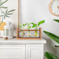 🌿 Rustic Wooden Stand Hydroponic Vases – Soil-Free Plant Growing | Farmhouse Style Décor for Home, Office & Kitchen