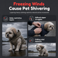 🔥50% -SAVE 🐶 Warm Dog Autumn & Winter Coat – Thickened Windproof Pet Vest for Small, Medium & Large Dogs ✨