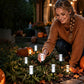 💡50% OFF NOW! ☀️ Solar Pathway Stake Light – Auto On/Off & Weatherproof 🌿