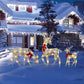 🔥50% OFF!!📢🦌 LED Christmas Reindeer Set with Bow – Light Up Your Festive Display, Bring a Warm Glow to Indoor & Outdoor Corners This Christmas ✨