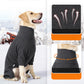 ⏰ Limited-Time Offer!🎁🐕High-Neck Dog Winter Coat ❄️