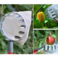 ⏳ Limited-Time Offer! 🍎 Fruit Picker Head Basket – No Ladder Needed, Reach High Branches & Pick Apples, Pears & More 🌳