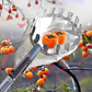 ⏳ Limited-Time Offer! 🍎 Fruit Picker Head Basket – No Ladder Needed, Reach High Branches & Pick Apples, Pears & More 🌳