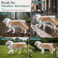 🔥📢 Limited-Time Offer! 🔥🐕 Transparent Waterproof Dog Raincoat – Keep Your Pup Dry & Visible on Rainy Walks 🌧️
