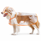 🔥📢 Limited-Time Offer! 🔥🐕 Transparent Waterproof Dog Raincoat – Keep Your Pup Dry & Visible on Rainy Walks 🌧️