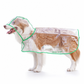 🔥📢 Limited-Time Offer! 🔥🐕 Transparent Waterproof Dog Raincoat – Keep Your Pup Dry & Visible on Rainy Walks 🌧️