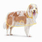 🔥📢 Limited-Time Offer! 🔥🐕 Transparent Waterproof Dog Raincoat – Keep Your Pup Dry & Visible on Rainy Walks 🌧️