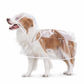 🔥📢 Limited-Time Offer! 🔥🐕 Transparent Waterproof Dog Raincoat – Keep Your Pup Dry & Visible on Rainy Walks 🌧️