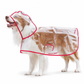 🔥📢 Limited-Time Offer! 🔥🐕 Transparent Waterproof Dog Raincoat – Keep Your Pup Dry & Visible on Rainy Walks 🌧️