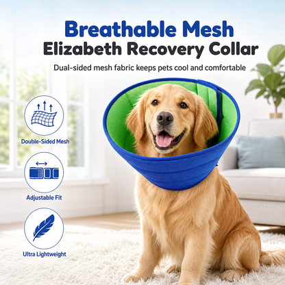 📢📢50% OFF !! ⏰🐾 Two-Tone Blue & Green Pet Recovery Collar – Anti-Bite & Anti-Scratch Protective Cone for Dogs & Cats ✨