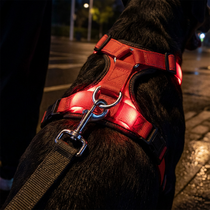🔥50% OFF!!📢🐕 LED Light-Up Dog Harness – Stay More Visible on Evening Walks & Keep Your Pup Comfortable ✨